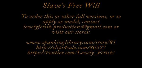  Clip 10Lil Slave&039;s Free Will - DS - Full Version Sale $13